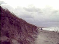 Strand vor Dierhagen - Bild von Siegfried K&uuml;mmel